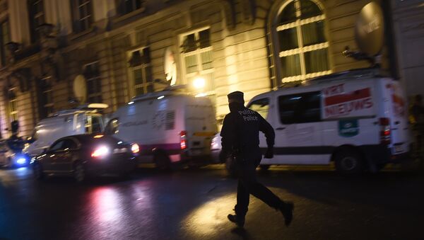 比利时和法国2月1日将为反恐和移民问题召开特别峰会 - 俄罗斯卫星通讯社