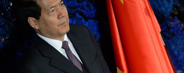 李辉大使 - 俄罗斯卫星通讯社