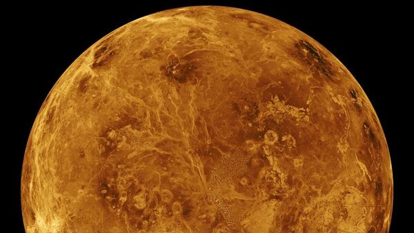 天文學家發現金星酸雲里有生命存在的跡象 - 俄羅斯衛星通訊社