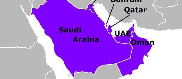 卡塔尔专家：中国已取代欧美成为海合会最大贸易伙伴国 - 俄罗斯卫星通讯社