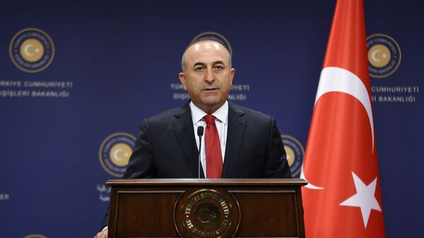 土耳其外長：土耳其反對敘利亞庫爾德人參加敘利亞談判 - 俄羅斯衛星通訊社