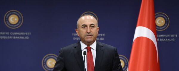 土耳其外长：土耳其反对叙利亚库尔德人参加叙利亚谈判 - 俄罗斯卫星通讯社