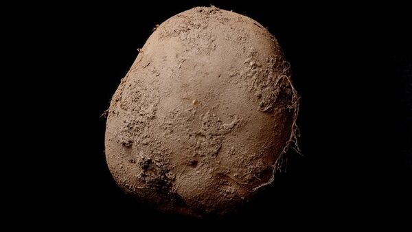 Potato #345 - 俄罗斯卫星通讯社