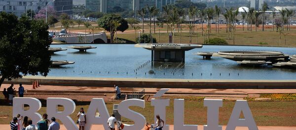 巴西将动用军队参与抗击全国蔓延的齐卡热 - 俄罗斯卫星通讯社