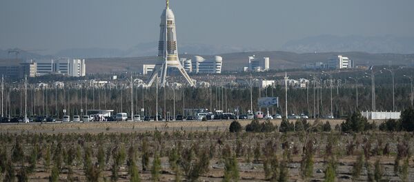 土庫曼斯坦因冠狀病毒2月1日起暫停飛往北京的航班 土庫曼斯坦因冠狀病毒2月1日起暫停飛往北京的航班 - 俄羅斯衛星通訊社