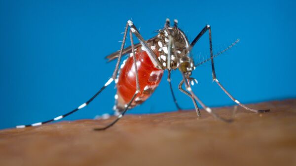 哥倫比亞當局已經證實有2萬茲卡熱病感染病例 - 俄羅斯衛星通訊社