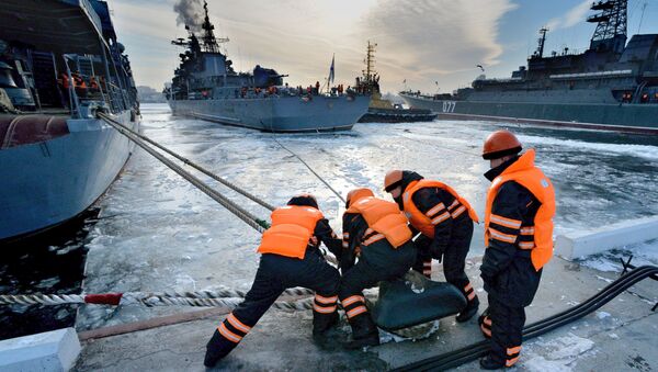 首个“钻石”海关站将设立在符拉迪沃斯托克自由港 - 俄罗斯卫星通讯社