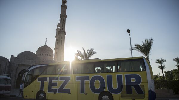 旅遊巴士在埃及 - 俄羅斯衛星通訊社