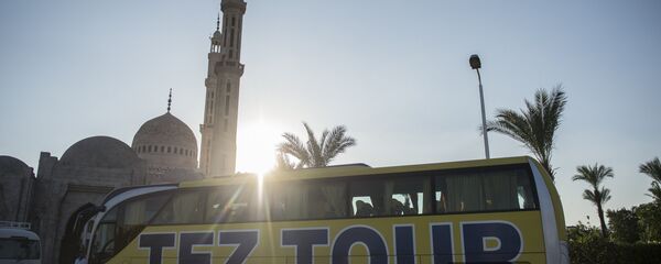 旅遊巴士在埃及 旅遊巴士在埃及 - 俄羅斯衛星通訊社