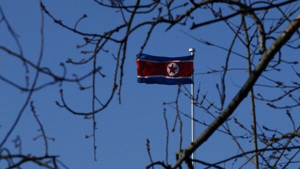 俄駐韓大使：俄中兩國對朝核問題看法基本一致 - 俄羅斯衛星通訊社