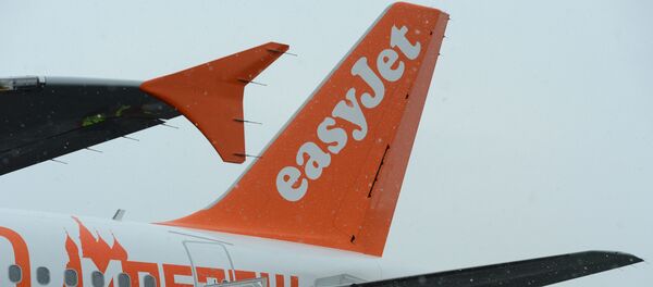 媒体：易捷航空公司试图以杜撰的罢工为由逃避支付补偿 - 俄罗斯卫星通讯社