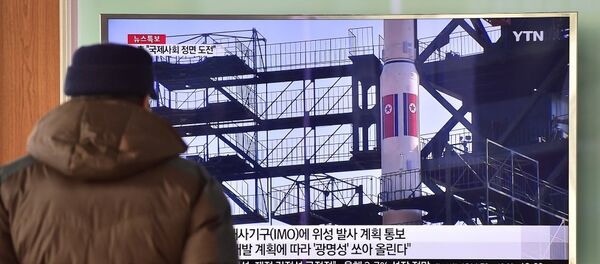 日本國會要求朝鮮放棄研制彈道導彈 - 俄羅斯衛星通訊社