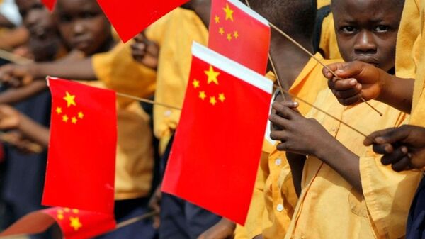 中国专家：中非根据双方实际需要展开务实合作 - 俄罗斯卫星通讯社