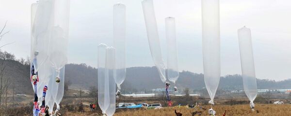 韩国向朝鲜投送8万传单 批评朝鲜政策 - 俄罗斯卫星通讯社