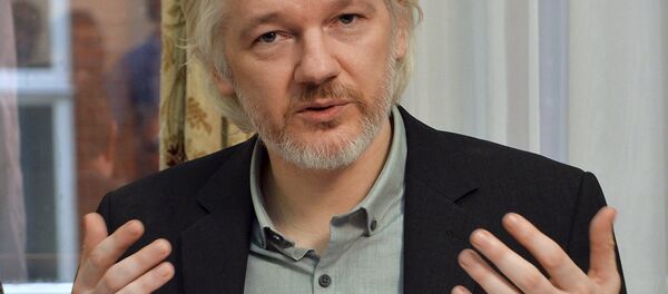 阿桑奇 - 俄罗斯卫星通讯社