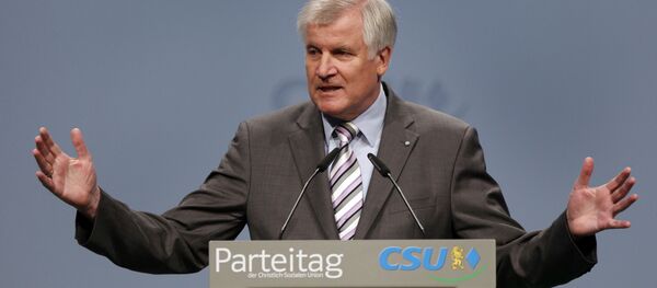 霍斯特•泽霍费尔 - 俄罗斯卫星通讯社