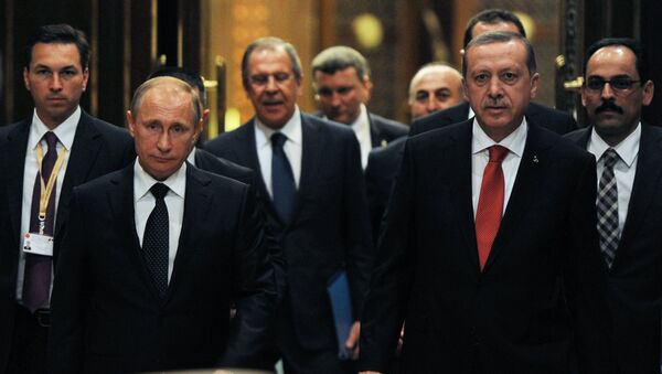 俄羅斯與土耳其總統 - 俄羅斯衛星通訊社