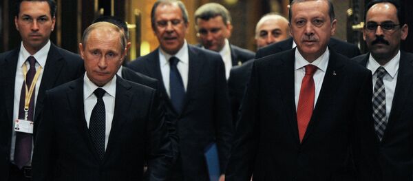 俄羅斯與土耳其總統 - 俄羅斯衛星通訊社