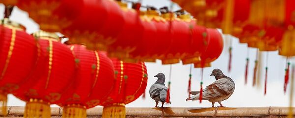 春節 春節 - 俄羅斯衛星通訊社