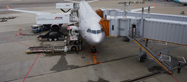 日本一架飛機起煙 乘客被疏散 - 俄羅斯衛星通訊社