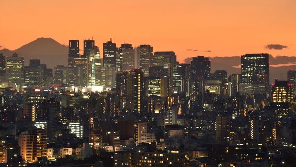 媒體：俄副外長與日政府特使2月15日將在東京舉行會談 - 俄羅斯衛星通訊社