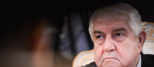 中方對敘利亞副總理兼外長穆阿利姆不幸逝世表示深切哀悼 - 俄羅斯衛星通訊社