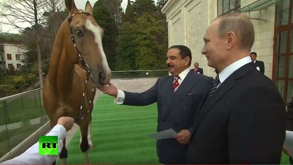 普京向巴林國王贈送一匹良種賽馬 - 俄羅斯衛星通訊社