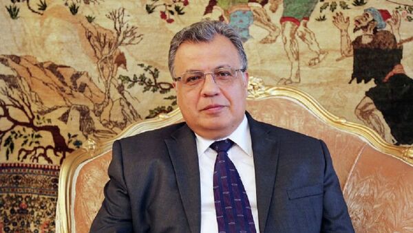 土耳其國際柔道錦標賽將為紀念俄羅斯大使卡爾洛夫舉行 - 俄羅斯衛星通訊社