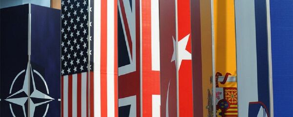 北约 北约 - 俄罗斯卫星通讯社