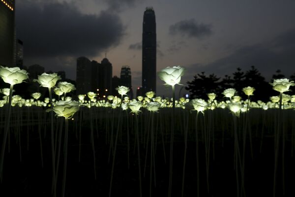 香港玫瑰燈海園 - 俄羅斯衛星通訊社