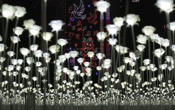 香港玫瑰灯海园 - 俄罗斯卫星通讯社