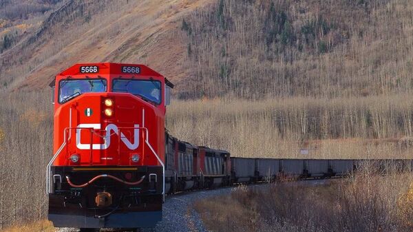 媒體：首輛自中國發車的“新絲綢之路”貨運專列抵達伊朗 - 俄羅斯衛星通訊社