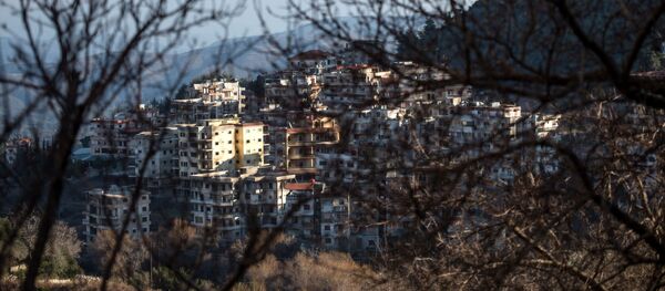 俄驻叙和解中心要求美驻安曼中心就土耳其开火袭击叙利亚一事做出解释 - 俄罗斯卫星通讯社