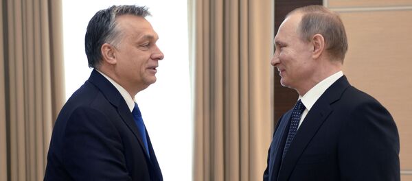 普京：俄联邦对俄匈关系的性质和质量感到满意 - 俄罗斯卫星通讯社