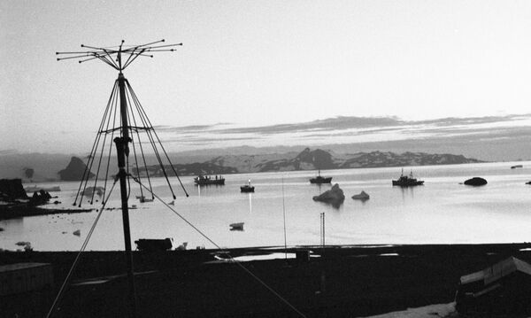 俄羅斯別林斯高晉南極科學考察站 - 俄羅斯衛星通訊社