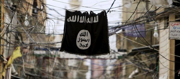 伊斯兰国 伊斯兰国 - 俄罗斯卫星通讯社