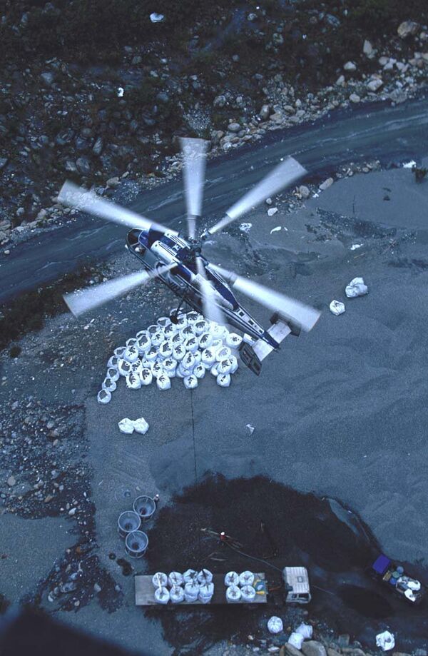 俄罗斯卡-32A11BC直升机 - 俄罗斯卫星通讯社