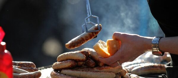 大众汽车公司去年香肠的销量超过汽车 - 俄罗斯卫星通讯社