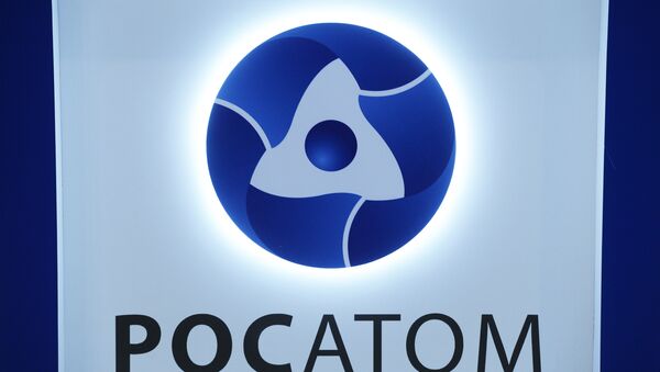 俄原子能公司 - 俄罗斯卫星通讯社