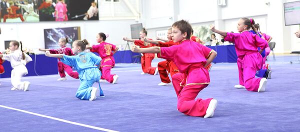 在莫斯科正在舉行“莫斯科武術之星”國際比賽 - 俄羅斯衛星通訊社