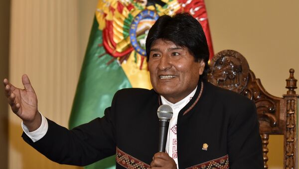 玻利维亚总统抵达委内瑞拉支持马杜罗 - 俄罗斯卫星通讯社