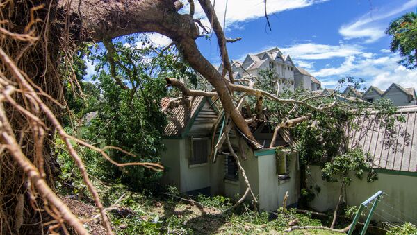 熱帶氣旋“亞薩”在斐濟造成的死亡人數上升至4人 - 俄羅斯衛星通訊社