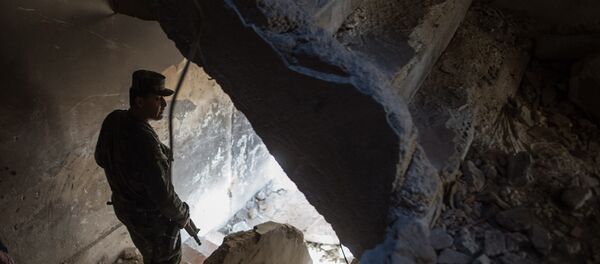 叙利亚 叙利亚 - 俄罗斯卫星通讯社