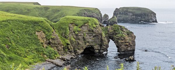 普京：俄日争议领土谈判中无需寻找底线 - 俄罗斯卫星通讯社