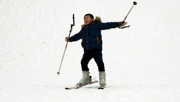 媒体：拉萨将建中国海拔最高滑雪胜地 - 俄罗斯卫星通讯社