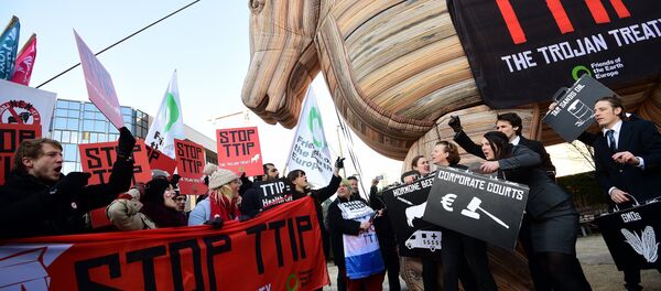 夸大西洋贸易与投资伙伴关系 - 俄罗斯卫星通讯社