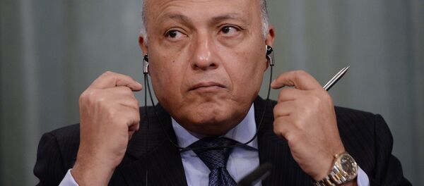 埃及外長舒克里 - 俄羅斯衛星通訊社