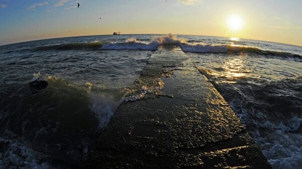 菲律宾沿岸游艇惊现木乃伊 - 俄罗斯卫星通讯社