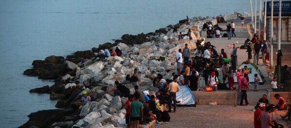 媒體：土耳其不准德國防長直升機在希臘島嶼降落 - 俄羅斯衛星通訊社