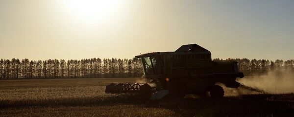 俄罗斯农业 - 俄罗斯卫星通讯社